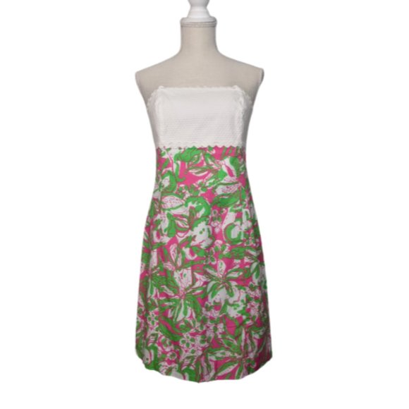 Lilly Pulitzer Franco Dress (10)